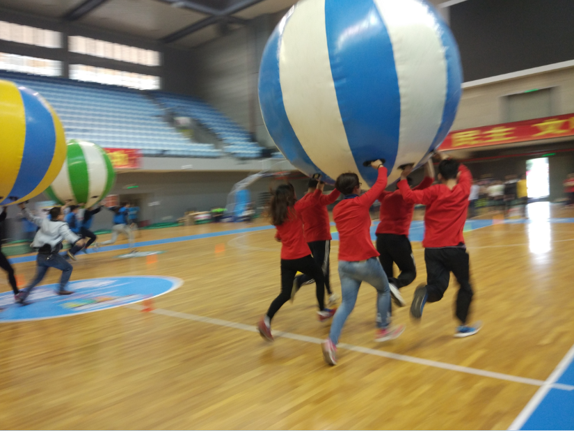 OMG staff team participated in the 2016 Songshan Lake (Ecological Garden) Fun Games